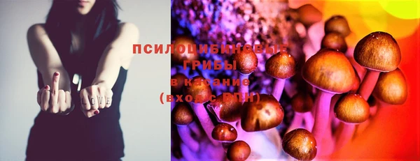 шишки Алзамай