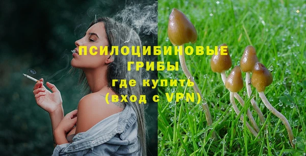 СК Алексеевка