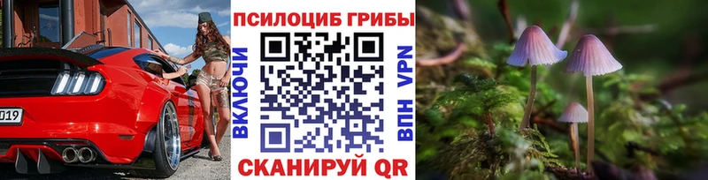Галлюциногенные грибы MAGIC MUSHROOMS  Дыгулыбгей 